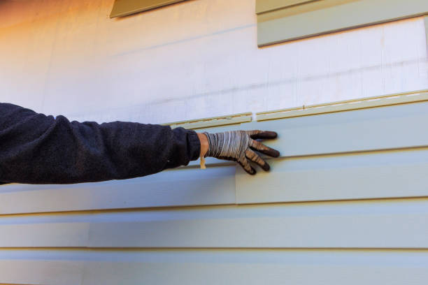 Best Fiber Cement Siding Installation  in Appleton, MN